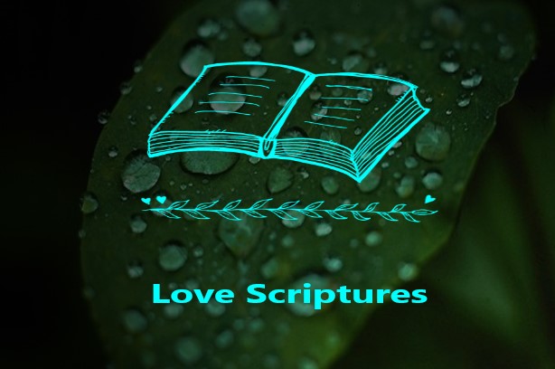 Love Scriptures